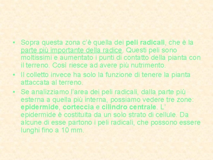  • Sopra questa zona c’è quella dei peli radicali, che è la parte