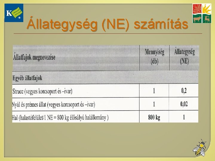 Állategység (NE) számítás 