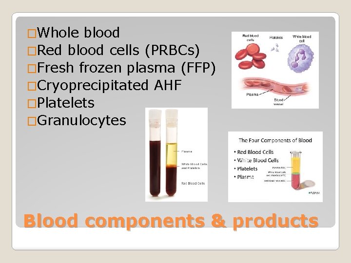�Whole blood �Red blood cells (PRBCs) �Fresh frozen plasma (FFP) �Cryoprecipitated AHF �Platelets �Granulocytes