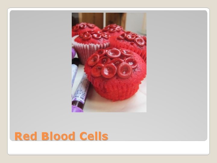 Red Blood Cells 