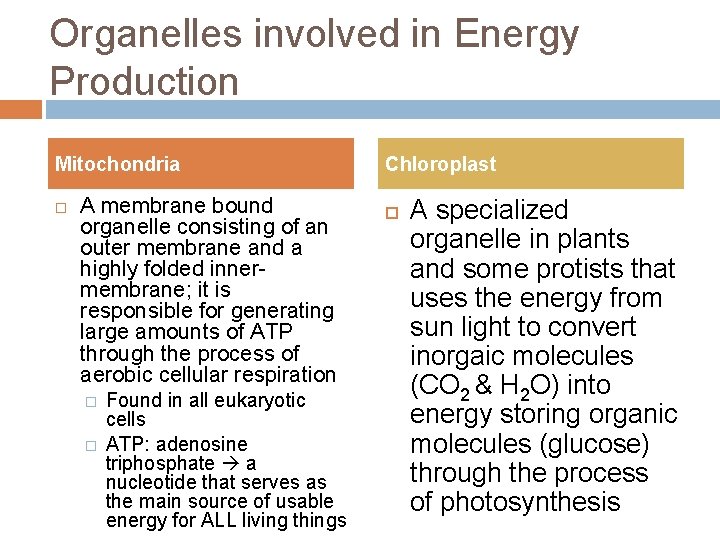 Organelles involved in Energy Production Mitochondria A membrane bound organelle consisting of an outer