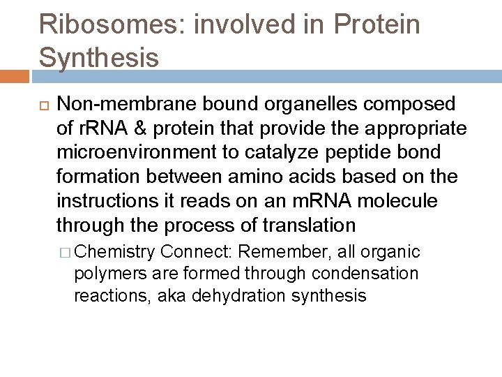 Ribosomes: involved in Protein Synthesis Non-membrane bound organelles composed of r. RNA & protein