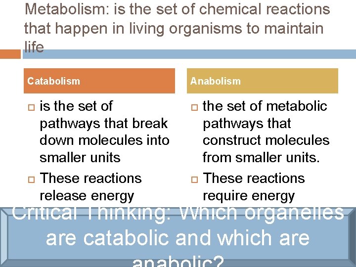 Metabolism: is the set of chemical reactions that happen in living organisms to maintain