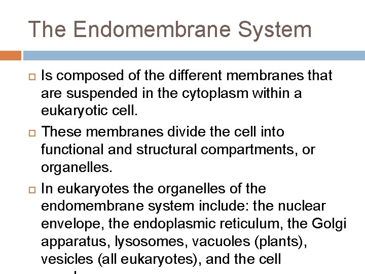 The Endomembrane System Is composed of the different membranes that are suspended in the