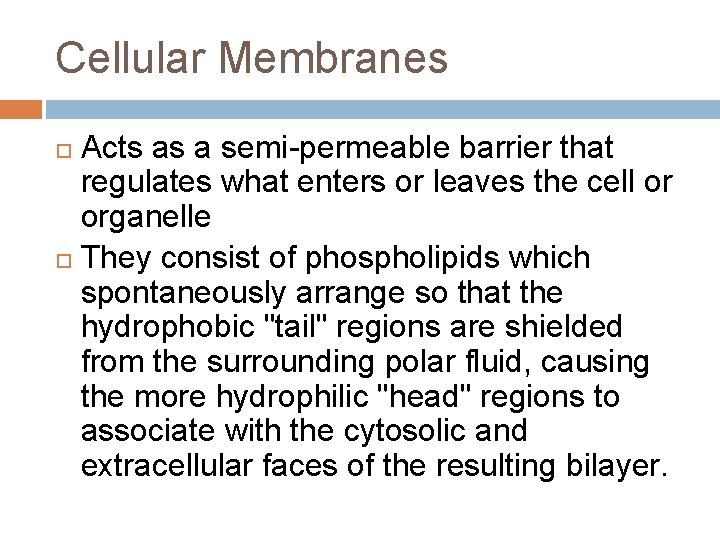 Cellular Membranes Acts as a semi-permeable barrier that regulates what enters or leaves the