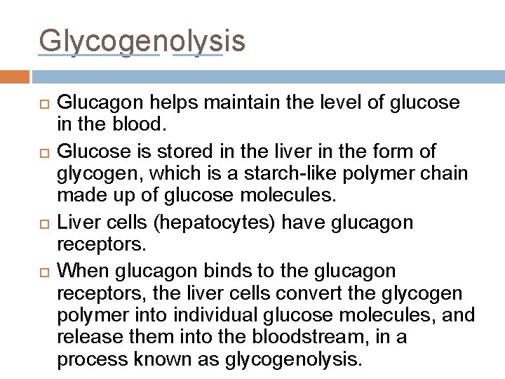 Glycogenolysis Glucagon helps maintain the level of glucose in the blood. Glucose is stored