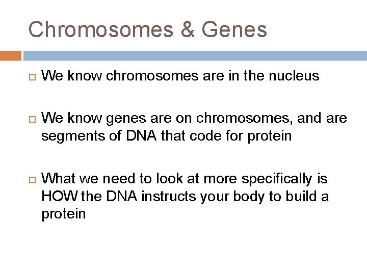 Chromosomes & Genes We know chromosomes are in the nucleus We know genes are