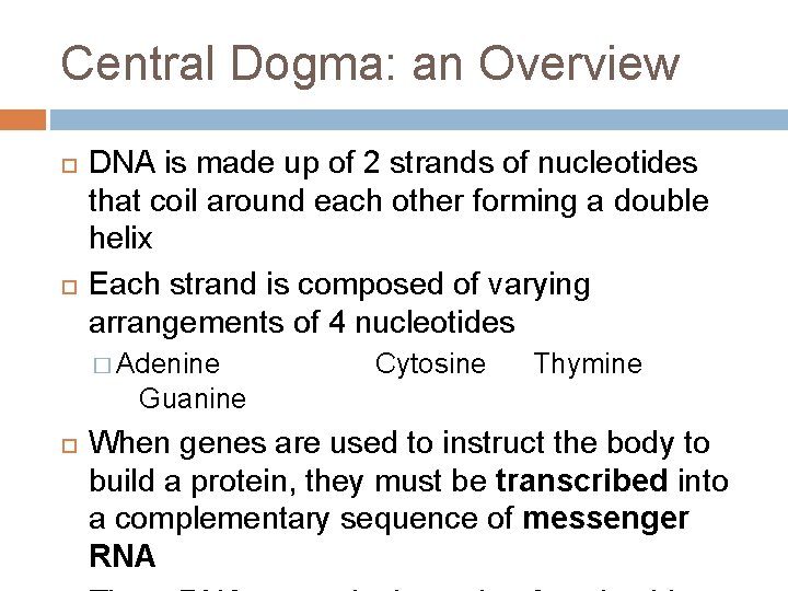 Central Dogma: an Overview DNA is made up of 2 strands of nucleotides that