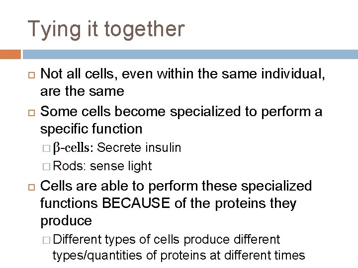 Tying it together Not all cells, even within the same individual, are the same