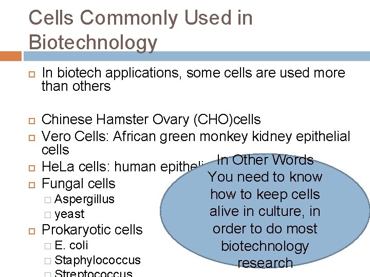 Cells Commonly Used in Biotechnology In biotech applications, some cells are used more than