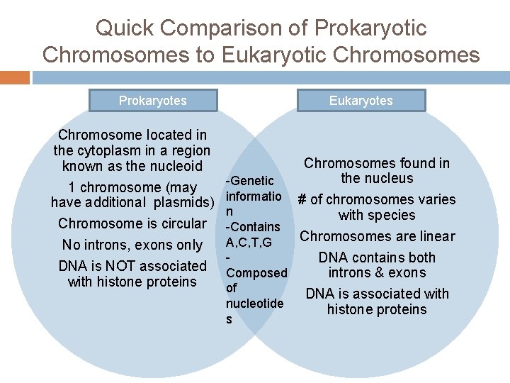 Quick Comparison of Prokaryotic Chromosomes to Eukaryotic Chromosomes Prokaryotes Eukaryotes Chromosome located in the