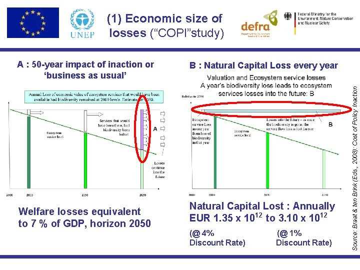 (1) Economic size of losses (“COPI”study) Welfare losses equivalent to 7 % of GDP,