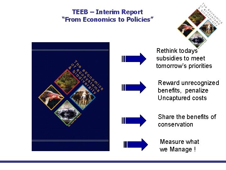 TEEB – Interim Report “From Economics to Policies” Rethink todays subsidies to meet tomorrow’s