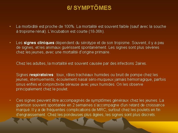 6/ SYMPTÖMES • La morbidité est proche de 100%. La mortalité est souvent faible