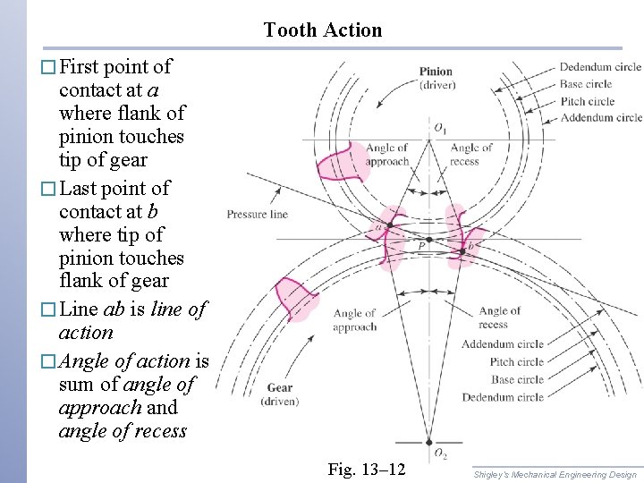 Tooth Action � First point of contact at a where flank of pinion touches