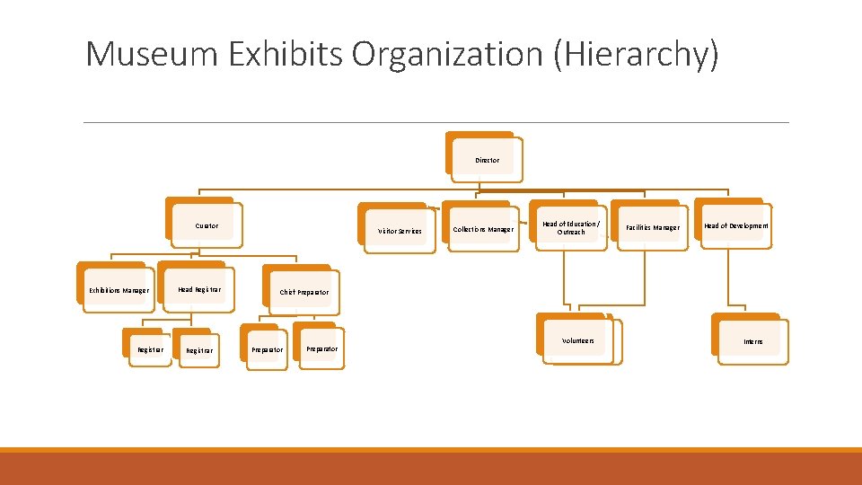 Museum Exhibits Organization (Hierarchy) Director Curator Exhibitions Manager Registrar Head Registrar Visitor Services Collections