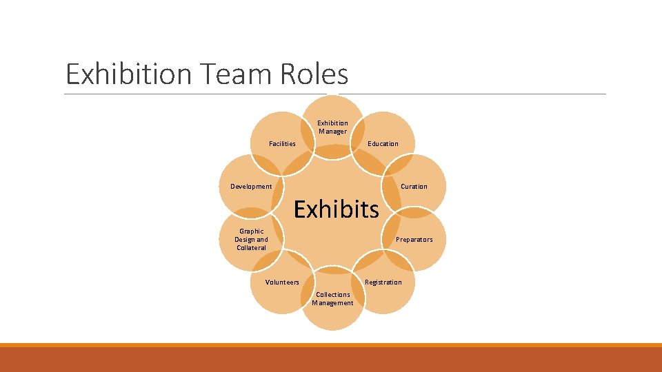 Exhibition Team Roles Exhibition Manager Facilities Education Development Curation Exhibits Graphic Design and Collateral