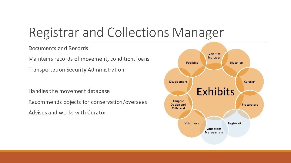 Registrar and Collections Manager Documents and Records Exhibition Manager Maintains records of movement, condition,