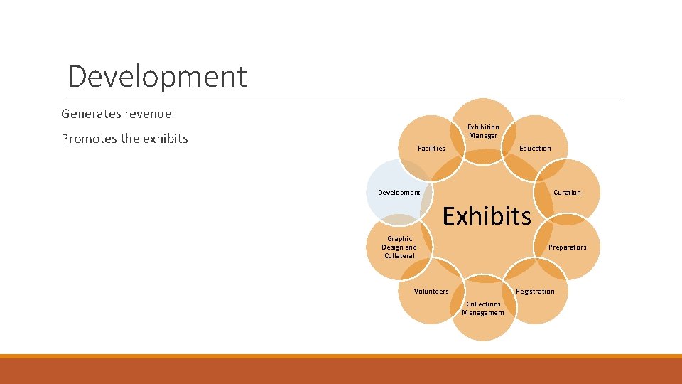 Development Generates revenue Exhibition Manager Promotes the exhibits Facilities Education Development Curation Exhibits Graphic