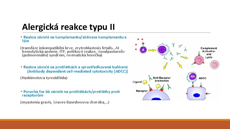 Alergická reakce typu II § Reakce závislá na komplementu/aktivace komplementu a lýza (transfúze inkompatibilní