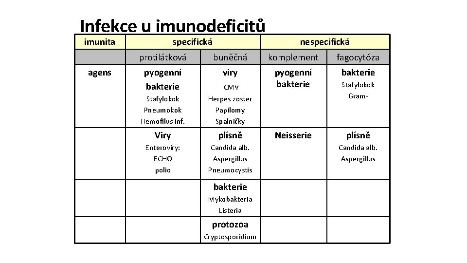 Infekce u imunodeficitů imunita agens specifická nespecifická protilátková buněčná komplement fagocytóza pyogenní bakterie viry