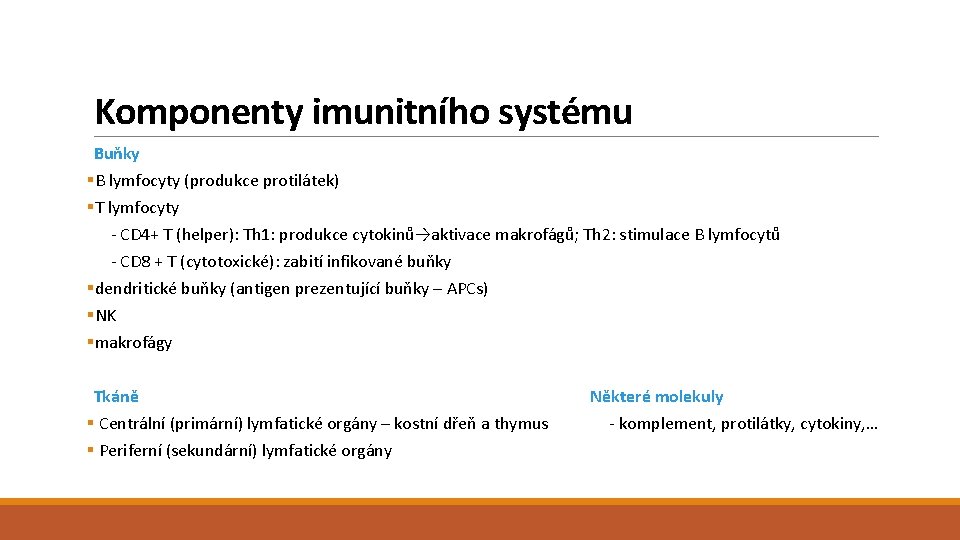 Komponenty imunitního systému Buňky §B lymfocyty (produkce protilátek) §T lymfocyty - CD 4+ T