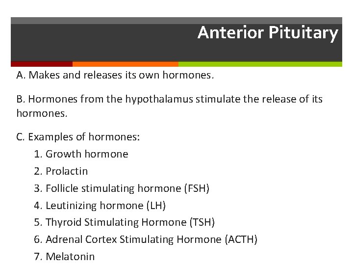 Anterior Pituitary A. Makes and releases its own hormones. B. Hormones from the hypothalamus