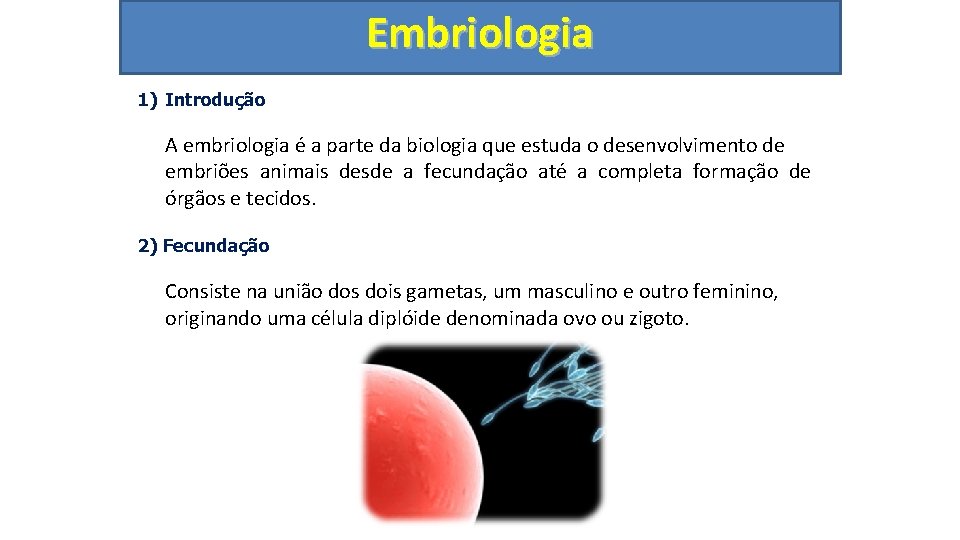 Embriologia 1) Introdução A embriologia é a parte da biologia que estuda o desenvolvimento