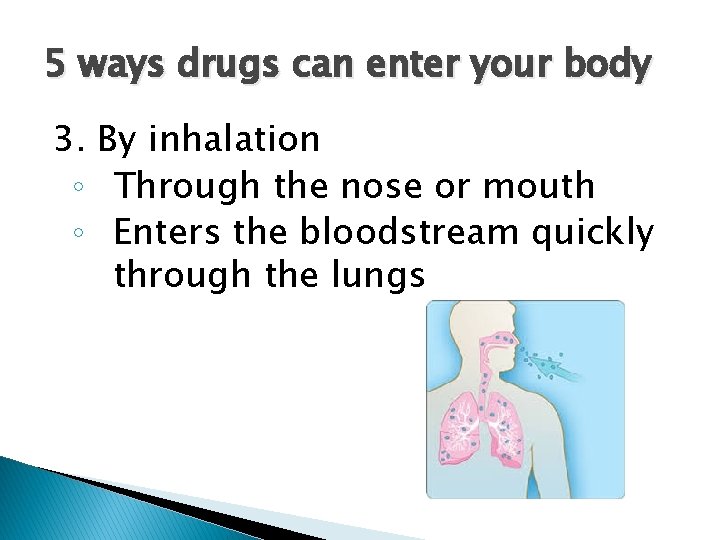 5 ways drugs can enter your body 3. By inhalation ◦ Through the nose