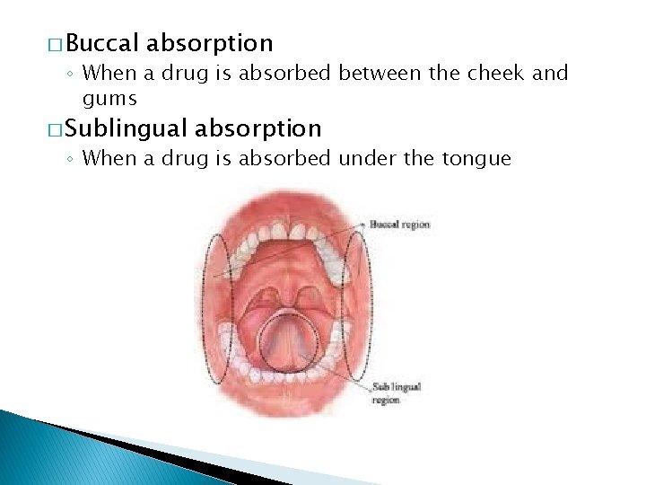 � Buccal absorption ◦ When a drug is absorbed between the cheek and gums