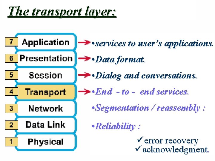 The transport layer: • services to user’s applications. • Data format. • Dialog and