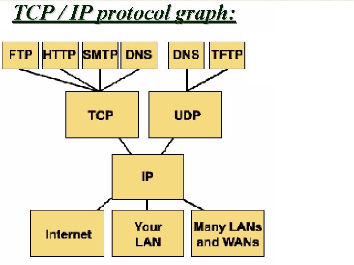 TCP / IP protocol graph: 