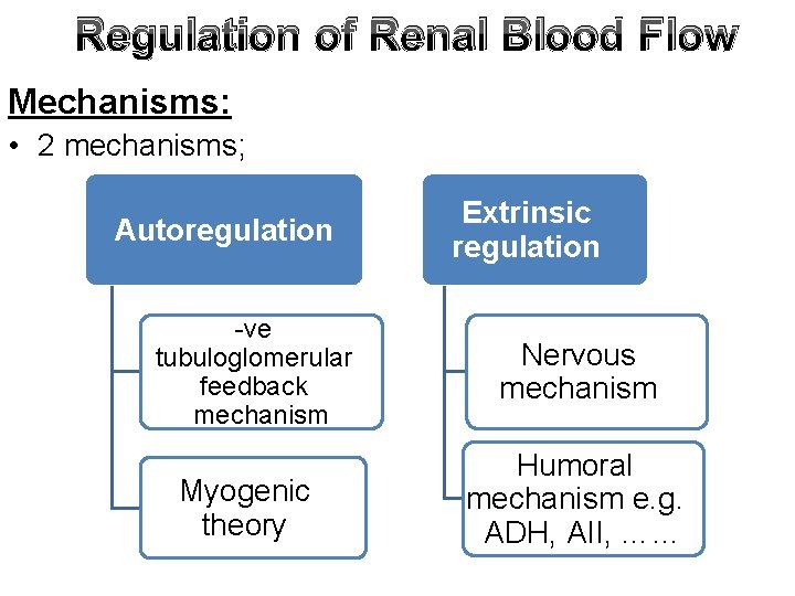 Regulation of Renal Blood Flow Mechanisms: • 2 mechanisms; Autoregulation -ve tubuloglomerular feedback mechanism