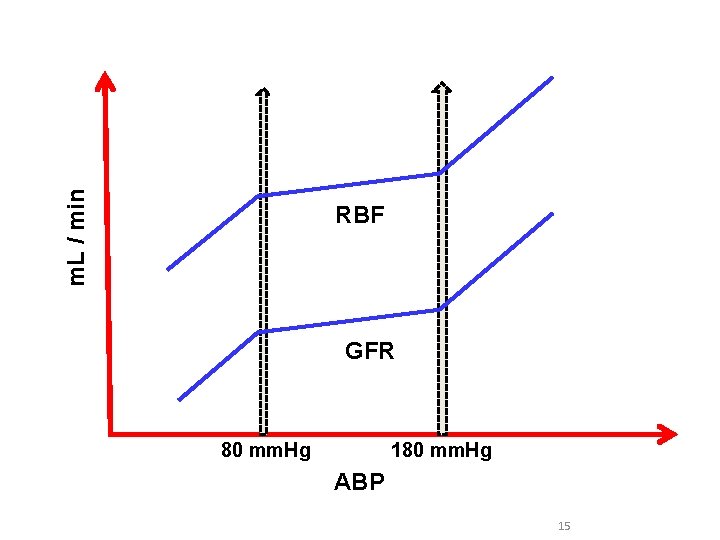 m. L / min RBF GFR 80 mm. Hg 180 mm. Hg ABP 15
