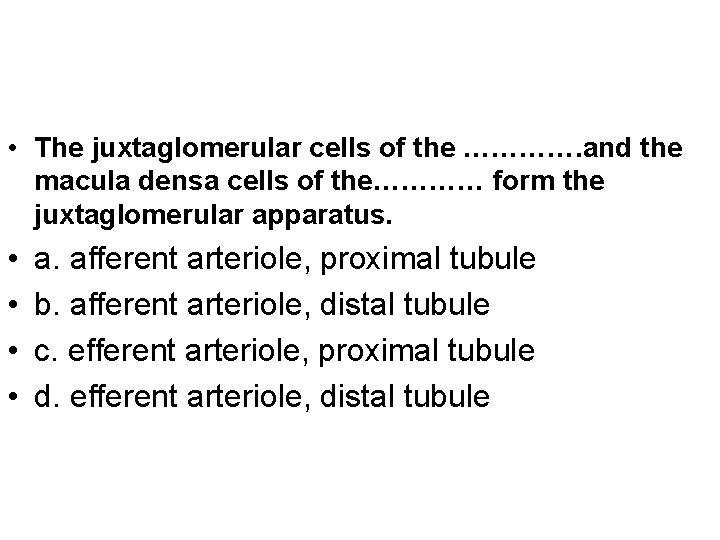  • The juxtaglomerular cells of the …………. and the macula densa cells of