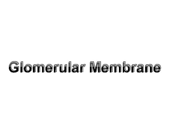 Glomerular Membrane 