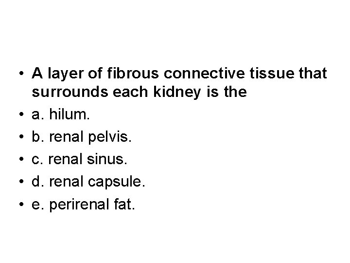  • A layer of fibrous connective tissue that surrounds each kidney is the