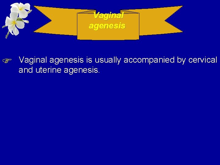 Vaginal agenesis Vaginal agenesis is usually accompanied by cervical and uterine agenesis. 