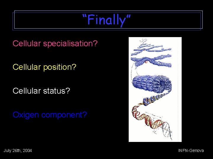 “Finally” Cellular specialisation? Cellular position? Cellular status? Oxigen component? July 26 th, 2004 INFN-Genova