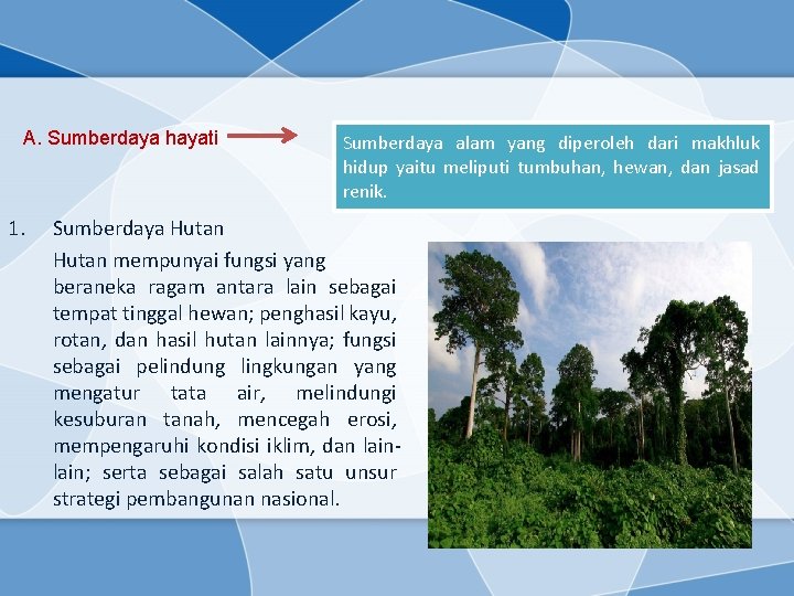 A. Sumberdaya hayati 1. Sumberdaya alam yang diperoleh dari makhluk hidup yaitu meliputi tumbuhan,