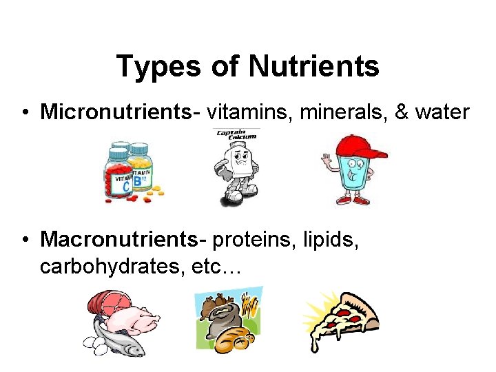 Types of Nutrients • Micronutrients- vitamins, minerals, & water • Macronutrients- proteins, lipids, carbohydrates,