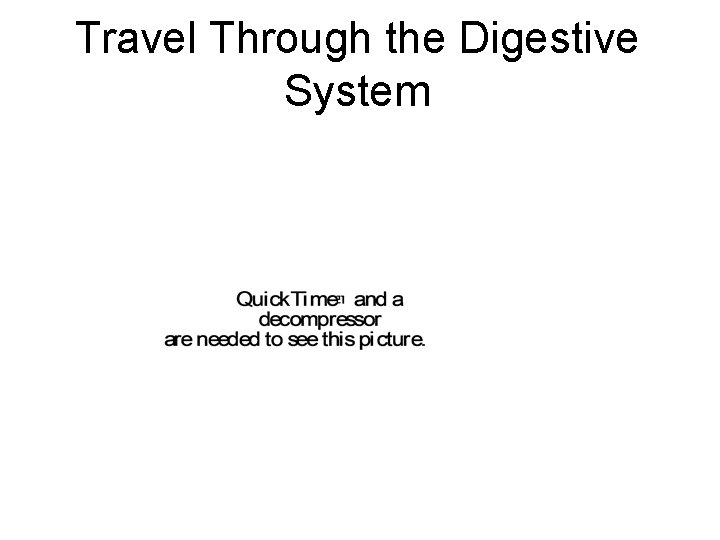 Travel Through the Digestive System 
