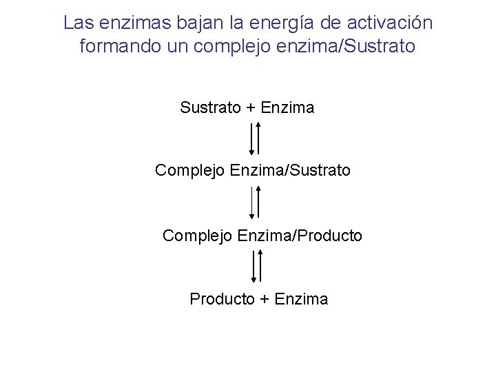 Las enzimas bajan la energía de activación formando un complejo enzima/Sustrato + Enzima Complejo