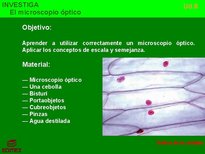 INVESTIGA El microscopio óptico Ud. 8 Objetivo: Aprender a utilizar correctamente un microscopio óptico.