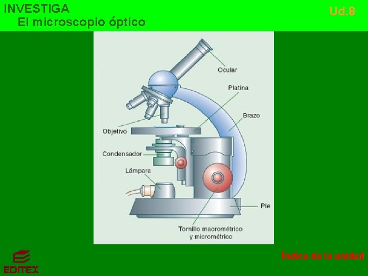 INVESTIGA El microscopio óptico Ud. 8 Índice de la unidad 