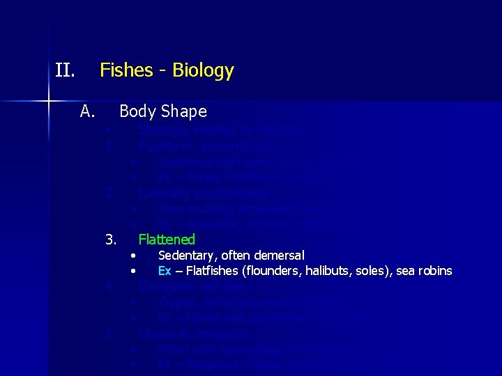 II. Fishes - Biology A. • 1. 2. 3. 4. 5. Body Shape •