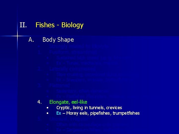 II. Fishes - Biology A. • 1. 2. 3. 4. 5. Body Shape •