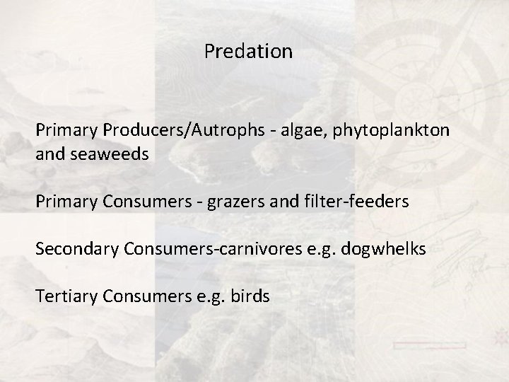 Predation Primary Producers/Autrophs - algae, phytoplankton and seaweeds Primary Consumers - grazers and filter-feeders