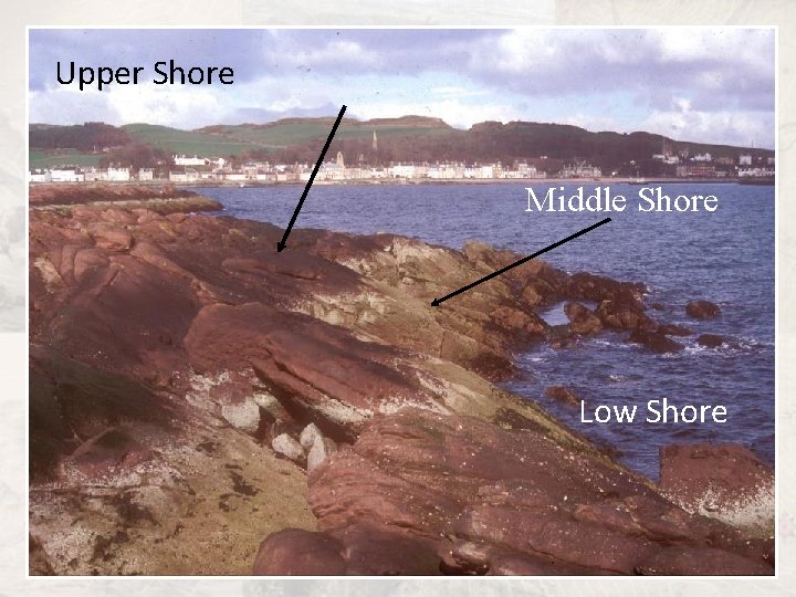 Upper Shore Middle Shore Low Shore 
