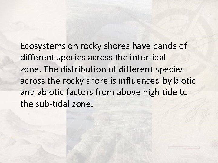 Ecosystems on rocky shores have bands of different species across the intertidal zone. The